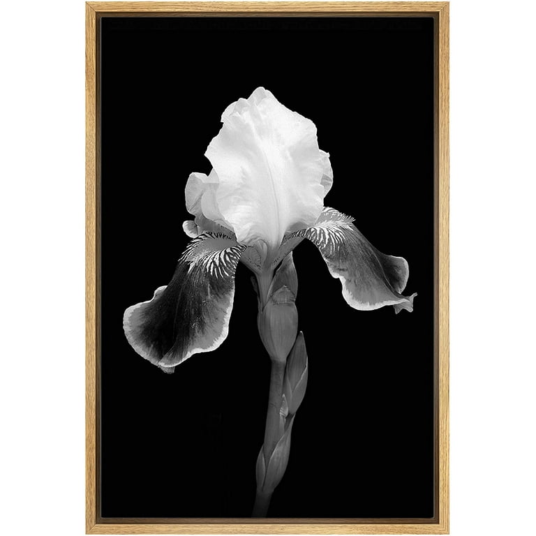 IDEA4WALL Framed Canvas Art Wall Decor Iris Floral Flower