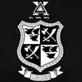 thumbnail image 3 of CafePress - Delta Chi Black And White Coat Of Arms T Shirt - Women's Traditional Fit Dark T-Shirt, 3 of 4