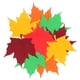 thumbnail image 1 of 50 piezas de adornos de otoño para tablones de anuncios, recortes decorativos de papel de pared con hojas de arce, recortes de papel para manualidades, decoración con recortes de papel., 1 of 5