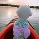thumbnail image 4 of Stripe Dog Cat Harness and Lead Leash Cute Pet Vest Harness With Bow Puppy Kitten Outdoor Walk Training Accessories Breathable ShopWise Round, 4 of 9