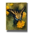 thumbnail image 1 of Epic Graffiti 'Delicate Belle' by Barbara Keith, Canvas Wall Art, 26"x34", 1 of 8