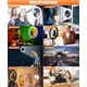 thumbnail image 4 of Anillo de luz de 12,6'' con trípode grande de 74'', anillo de luz LED con 20 modos RGB, 13 niveles, anillo de luz para fotografía ajustable para selfies, TikTok, YouTube, transmisión en, 4 of 5