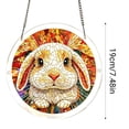 thumbnail image 2 of Acrylic Puzzles Suncatcher Window Hanging 7.4 Inch Catcher Puzzle Garden Decoration For Women Men Mom Birthday Gift Home Decor, 2 of 6