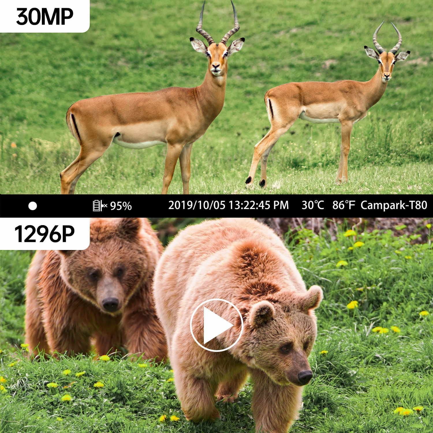 CAMPARK WiFi Trail Camera 20MP 1296P Hunting Game Camera Bluetooth 120° Motion Activated IP66 Waterproof with 850nm Night Vision Trail Cam for Wildlife Monitoring