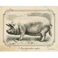 thumbnail image 2 of Babbitt, Gwendolyn 32x26 Gold Ornate Wood Framed with Double Matting Museum Art Print Titled - Farm Pig II, 2 of 4