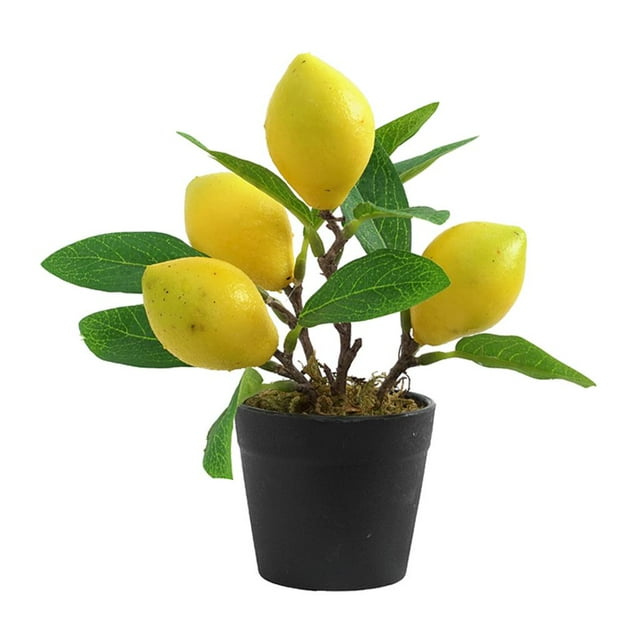 Árbol artificial en maceta, planta frutal, bonsái, planta en maceta, escenario para jardín Limón S