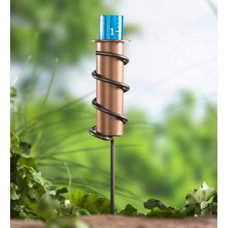 Best Rain Gauges