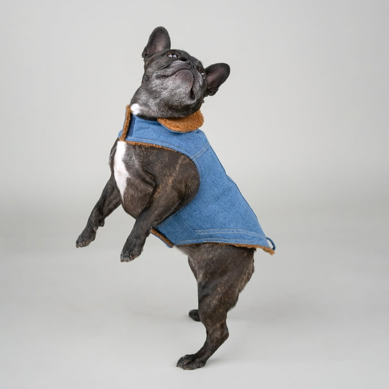 Gap Pet Dog Clothes Denim Gap Pet Jacket Blue Large Walmart