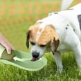 thumbnail image 4 of Bouteille d'Eau Portable pour Chien 2025 Étanche pour Chiots Chiens Chats Voyage Extérieur Randonnée, 4 of 6