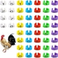 thumbnail image 1 of 48 piezas 16 mm Anillos de pierna de pollo medianos Bandas de pierna de identificación de pollo de varios colores Clip numerado en anillos de pierna para, 1 of 5