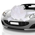 thumbnail image 1 of Lazo gigante Zonon para coche, 50 cm, con cinta de 6 m, color blanco, 1 of 7