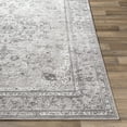 thumbnail image 4 of Livabliss Area Rugs for Living Room, 5x7 Monte Carlo Traditional Gray Rug, Bedroom Dining Room Home Decor Stain Resistant Carpet (5'3" x 7'3"), 4 of 8
