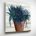 thumbnail image 3 of Epic Art 'Remarkable Succulents II' by Cindy Jacobs, Acrylic Glass Wall Art, 12"x12", 3 of 8