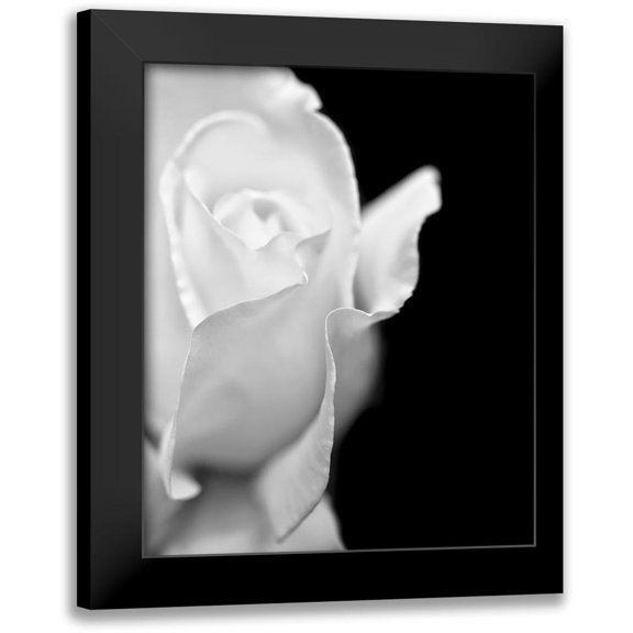 Schell, Jennie Marie 12x14 Black Modern Framed Museum Art Print Titled - Rose Flower Macro Black and White 2