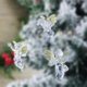 thumbnail image 4 of (4 Pcs/pack)5x7cm Christmas Transparent Angel Pendant New Year's Holiday Party Decoration Creative Children's Gift Plasticc, 4 of 5