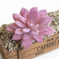 thumbnail image 4 of Artificial Succulent Plant Flower Arrangement DIY Bonsai Home Hotel Cafe Decor, 4 of 8