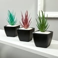 thumbnail image 5 of Mainstays 6.5" Artificial Green-Striped Agave Succulent Pick, 5 of 5