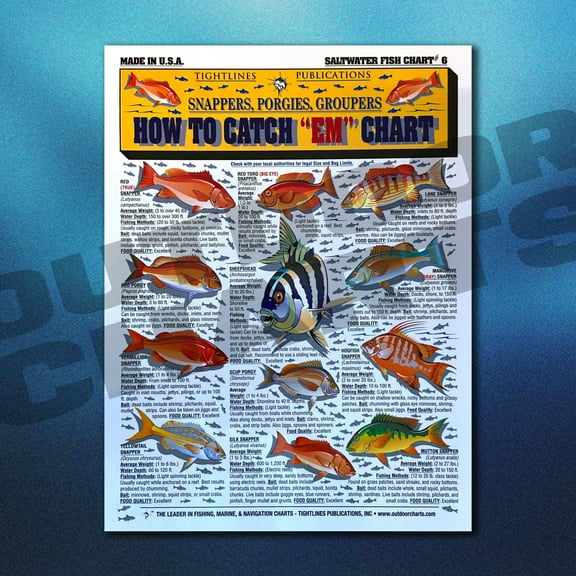 Fishermen's How to Catch 'Em Fish Identification Chart #6 (Snappers, Porgies  Groupers)
