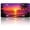 Palm Beach, variant on Front License Plate, Palm Beach Tropical Sunset Ocean Paradise Style Novelty Vanity Tag, Aluminum, 4-Hole, 6 x 12 Inch