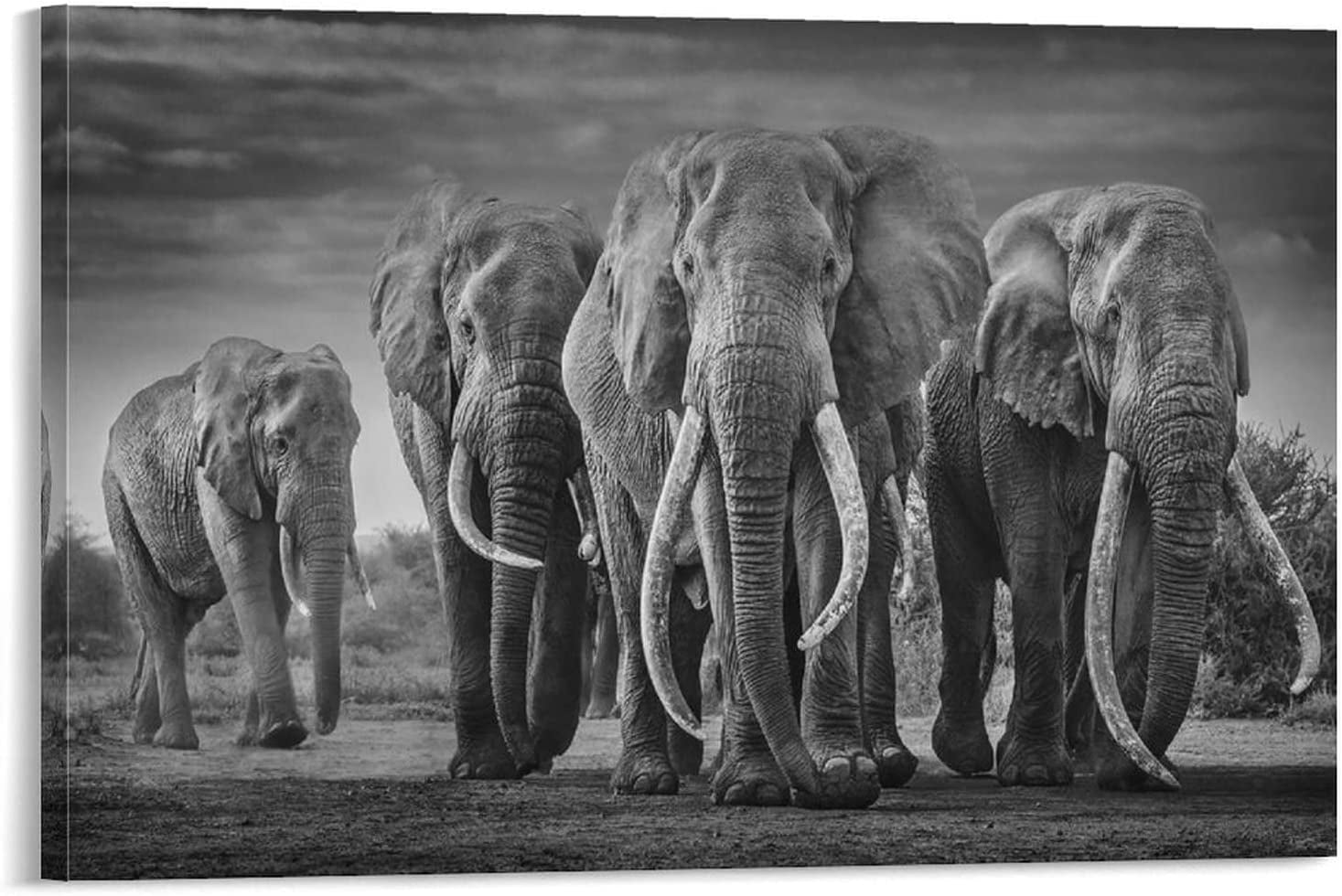 Black and White African Elephant Poster Elephant Parade Picture Vintage Wildlife Art Canvas