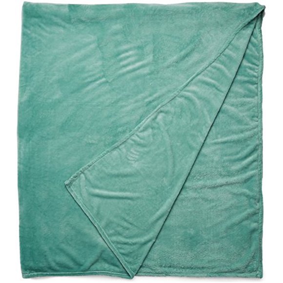 Intelligent Design Microlight Plush Oversized Blanket, Twin/ Twin X-Large, Aqua