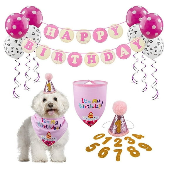 Dog Birthday Party Set, Bib & Hat, Pink