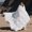 White-0-0-0-0, variant on Ultra-Soft 650+ Fill Power Goose Down Comforter, Breathable All-Season Duvet Insert for King, Queen, Twin, Multiple Colors