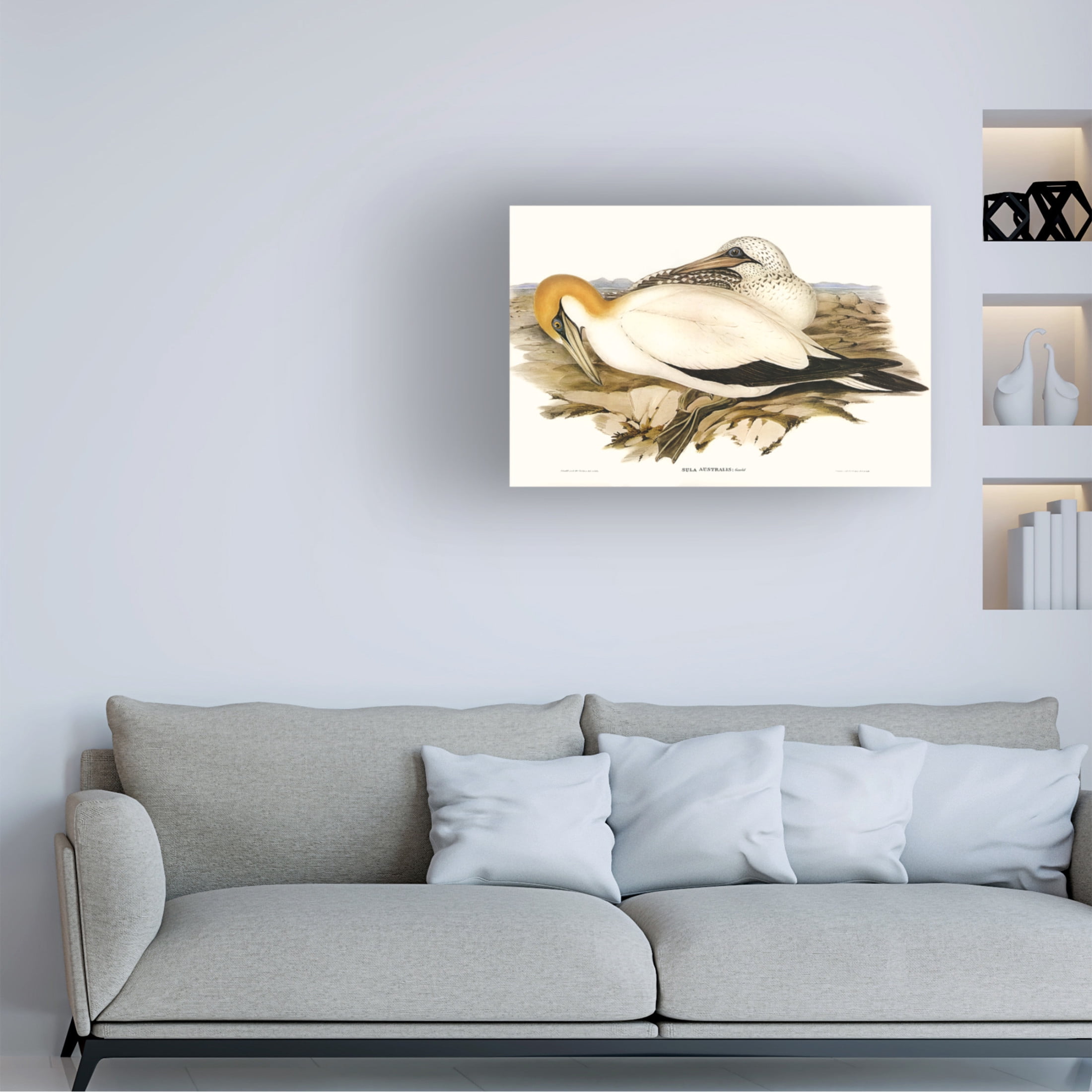 Trademark Fine Art Elizabeth Gould Waterbird Pairing VI Canvas Wall Art