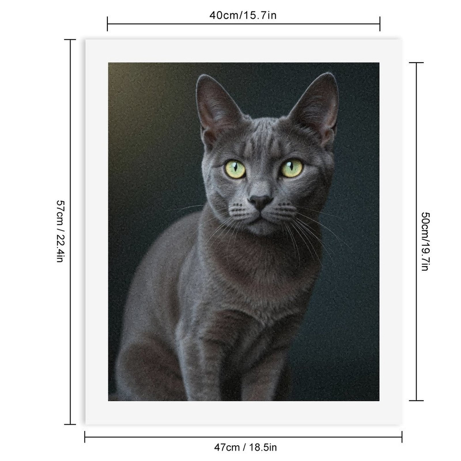 Paint by Numbers Kit for Adults, Gray Cat Green Eyes Elegance Paint by Numbers, Easy Paint by Numbers Kit for Adults Beginner, DIY Adult Paint by Number Kits on Canvas, Home Decor