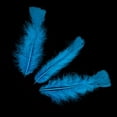 thumbnail image 3 of Leylor Feathers- 100 Pcs Colored Feathers Wedding Decoration Candy Color Fill Feathers, 3 of 8