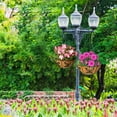 thumbnail image 4 of Visland 2PCS Hanging Basket Coco Liners Replacement Natural Round Coconut Coco Fiber Planter Basket Liners for Hanging Basket Flowers/Vegetables, 4 of 8