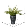 thumbnail image 2 of Vickerman 8.5" Artificial Green Potted Asparagus Fern., 2 of 3