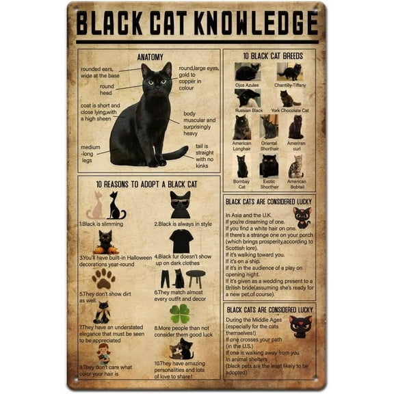 1pc Black Cat Knowledge Tin Sign Black Cat Tin Signs Vintage Metal Tin Signs Black Cat Sign Wall Poster Retro Tin Sign Vintage Metal Plaque for Bar Cafe Wall Decor Home Wall Art Decor