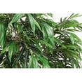 thumbnail image 4 of 7FT Artificial willow Tree, Indoor Faux slik Greenery Plant for Home, Apartment, or Office Decoration, 1pc/set, 4 of 10