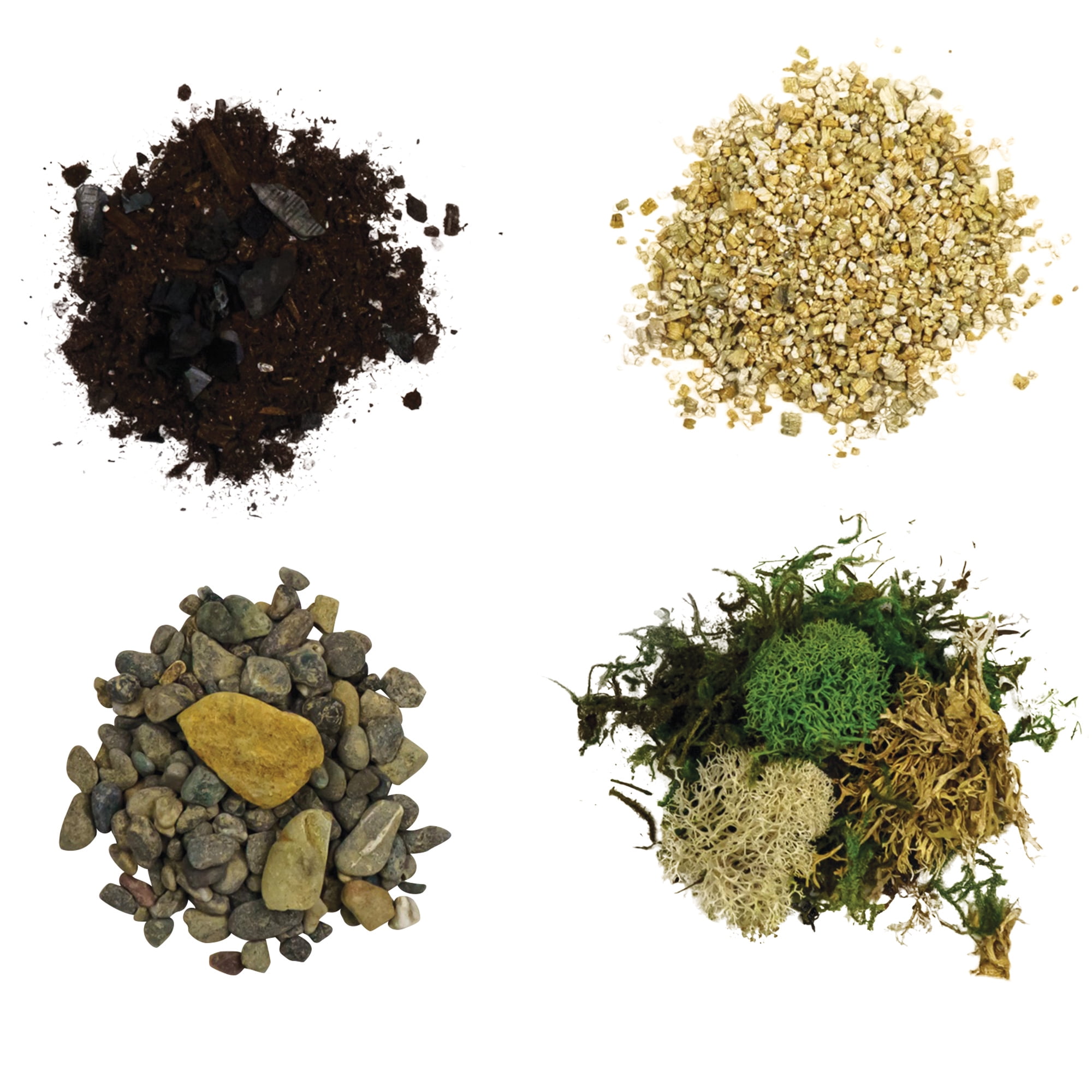 Cute Farms Terrarium Starter Kit | Moss, Vermiculite, Soil, Pebbles, Plant Food, Finishing Tools, Build and Care Guide | DIY Succulent Terrarium Kit for Adults and Kids (Large Kit + Live Plants)