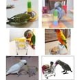 thumbnail image 4 of 3PCS Parrot Toys Mini Shopping Cart Training Rings Skateboard Stand Perch for Budgie Parakeet Cockatiel Conure Lovebird, 4 of 5