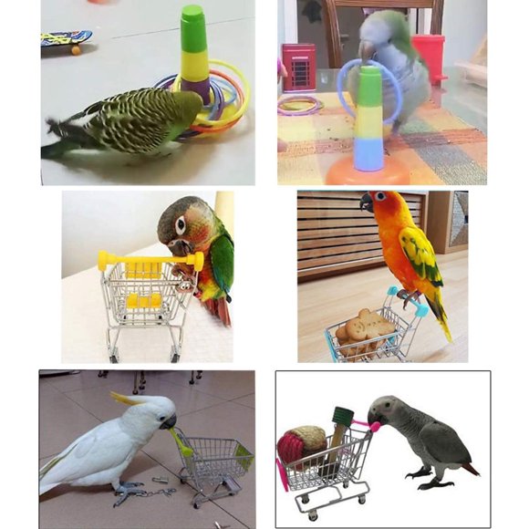 3PCS Parrot Toys Mini Shopping Cart Training Rings Skateboard Stand Perch for Budgie Parakeet Cockatiel Conure Lovebird