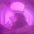 thumbnail image 6 of Northlight Shiny Purple Shatterproof Christmas Ball Ornament 4" (100mm), 6 of 8