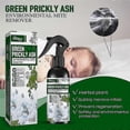 thumbnail image 1 of Green Prickly Ash Spray Environmental Mite Remover For Bed Sofa, 1 of 5