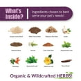 thumbnail image 5 of Amber NaturalZ Adizone for Dogs | Herbal Supplement for Mobility & Joint Support 1oz, 5 of 7