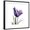 Black Frame, variant on Art.com Grape Tulip Art Print by Albert Koetsier, 24" x 24"