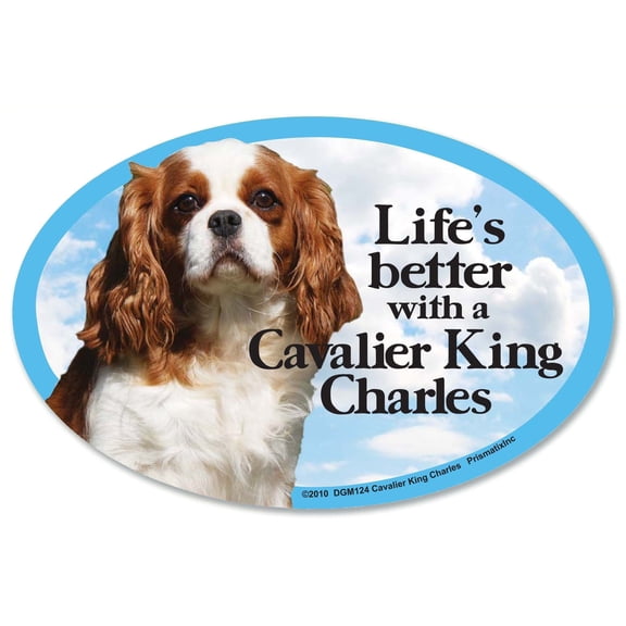 Cavalier King Charles Spaniel Oval Dog Magnet for Cars (and fridges too!). Includes bonus �I Love My Dog� decal.