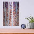 thumbnail image 4 of Luxe Metal Art 'Incandescence' by Mandy Budan, Metal Wall Art, 12"x16", 4 of 7