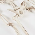thumbnail image 5 of Esqueleto de Halloween SCZ Simulación Humano 70 cm Decoración, 5 of 5