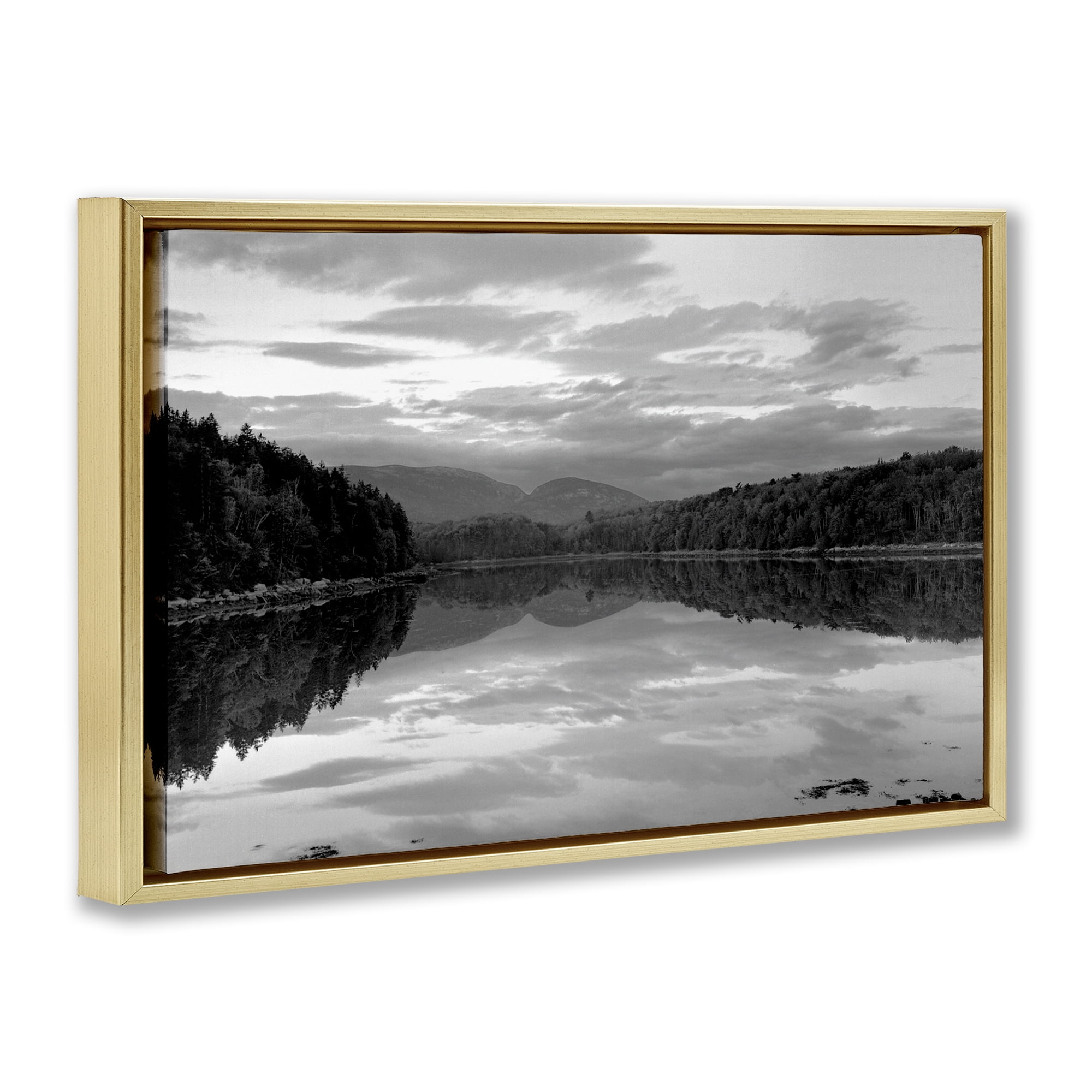 Stupell Industries Acadia Reflection in Monochrome Gold Framed Floater Canvas Wall Art, design by MJ Photography