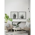 thumbnail image 3 of Marmont Hill Black and White Cacti Diptych, 12" x 24", 3 of 6