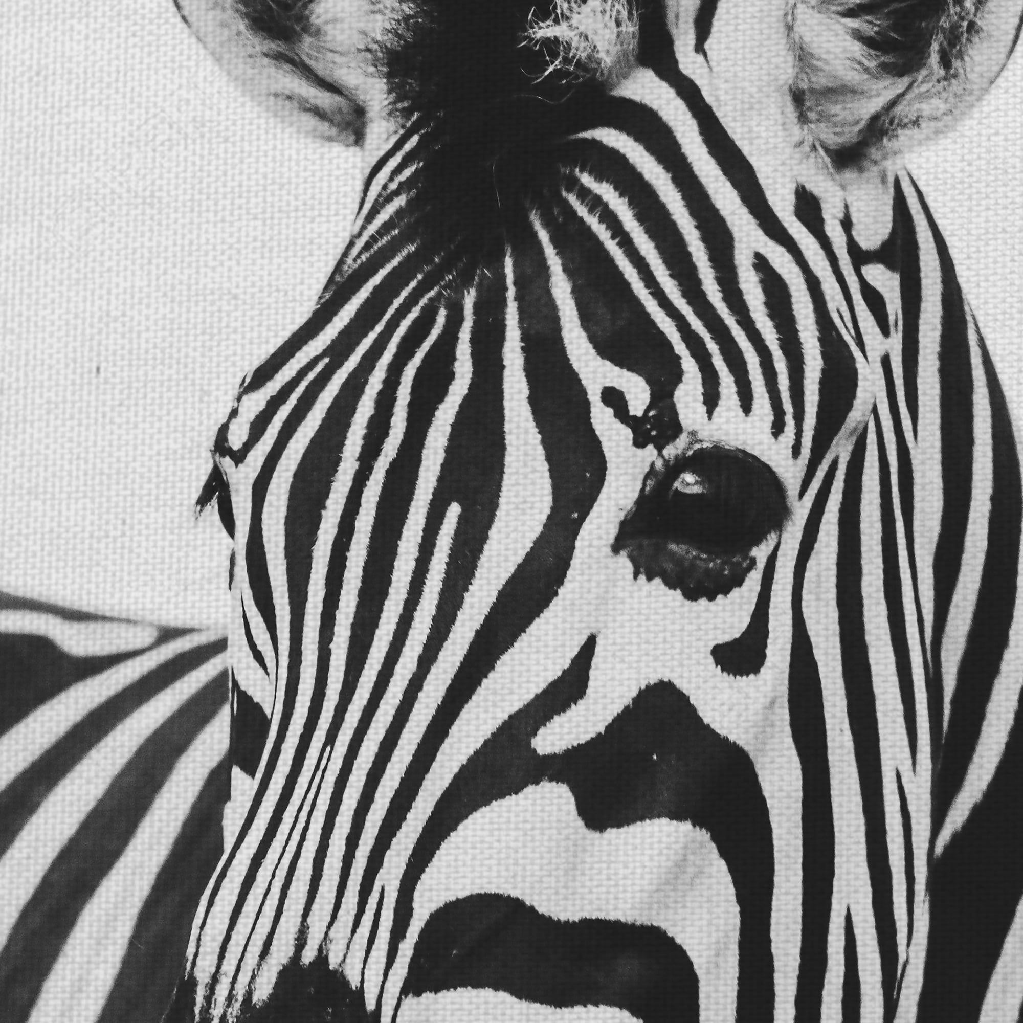 Masterpiece Art Gallery Zebra Close Up by Frida Bredesen Canvas Photo Art Print 30" x 30"