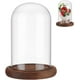thumbnail image 1 of Campana de cristal con forma de flor eterna, pedestal de madera marrón coco., 1 of 6