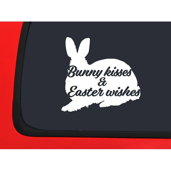 Magic rabbit car wash coupon