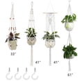 thumbnail image 1 of Juego de 4 colgadores de plantas para colgar en la pared de interior, maceta decorativa con 4 ganchos para interior y exterior, decoración del hogar, caja de regalo Xemadio 2033377-1, 1 of 9